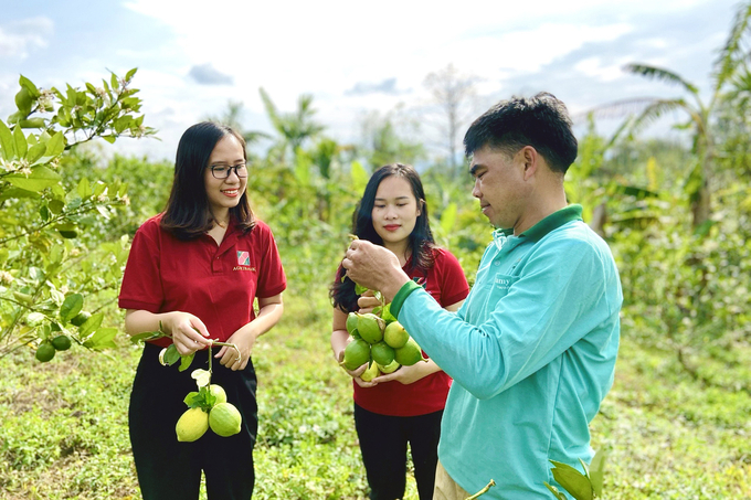 Thời gian qua, Agribank Quảng Trị luôn tích cực tháo gỡ khó khăn,tiếp vốn kịp thời cho khách hàng. Ảnh: Q.T.