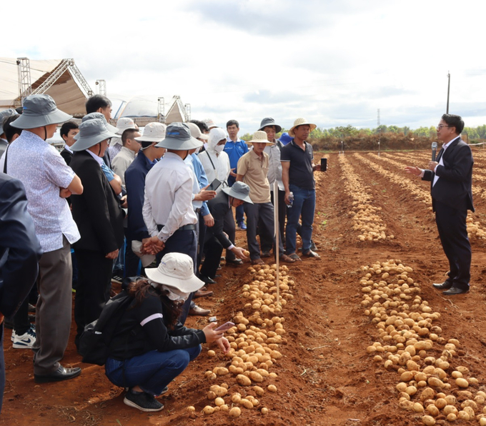 Nông dân, chuyên gia tham quan mô hình liên kết trồng khoai tây. Ảnh: Đăng Lâm.