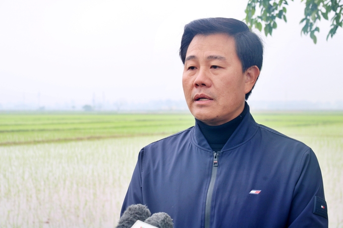 Giám đốc Sở NN-PTNT Hà Nội Nguyễn Xuân Đại khuyến cáo, bà con nông dân cần sớm bắt tay vào việc bảo vệ chăm sóc sau gieo cấy. Ảnh: Phương Thảo.
