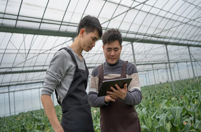 Stock image of farm workers recording vegetable growth data in China. Photo: Wengen Ling