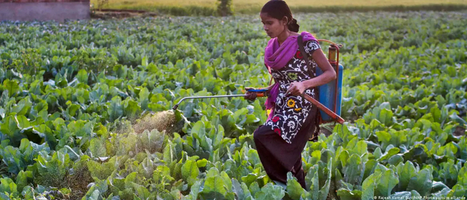 Food growers have long relied on pesticides but what are the natural alternatives to toxic chemicals.