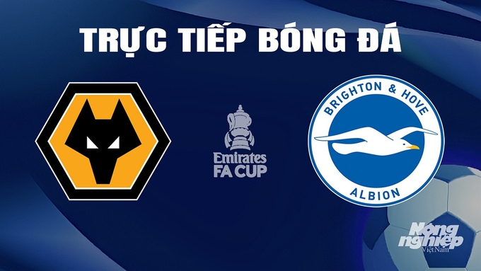 Trực tiếp bóng đá Cúp FA 2023/24 giữa Wolves vs Brighton hôm nay 29/2