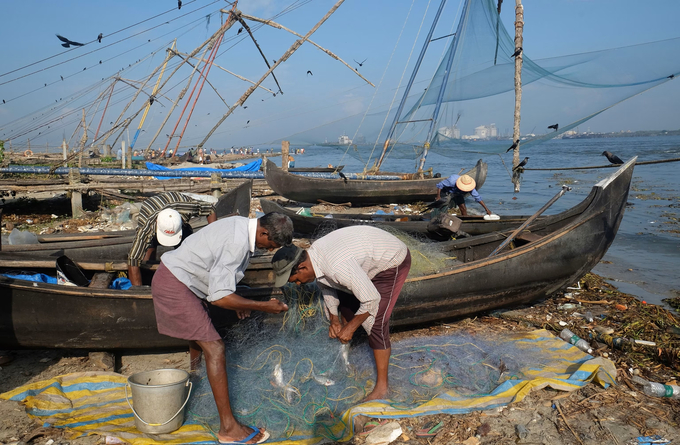 Ngư dân gỡ cá ra khỏi lưới ở thành phố Kochi, bang Kerala, Ấn Độ. Ảnh: National Geographic.