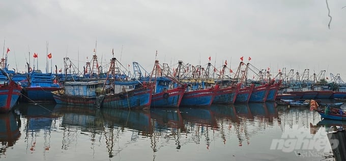 Tàu cá neo đậu tại cảng cá Lạch Bạng (Nghi Sơn, Thanh Hóa). Ảnh: Quốc Toản.