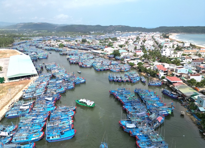 Hiện Thủ tướng Chính phủ đã phê duyệt chủ trương đầu tư khu neo đậu tránh trú bão cấp vùng tại Tam Quan. Ảnh: V.Đ.T.