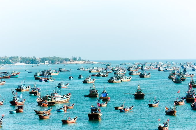 Nawm 2015-2017, Bình Thuận triển khai 3 dự án ngư dân - kiểm ngư đồng quản lý 43km2 dọc theo bờ biển xã Thuận Quý, huyện Hàm Thuận Nam.