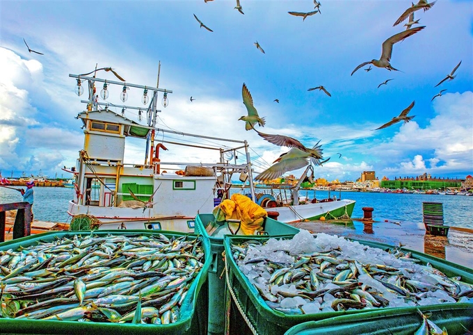 Đài Loan đã nỗ lực rất nhiều để tăng cường quản lý nghề cá trên 4 nhóm vấn đề, gồm: Khung pháp lý, MCS, truy xuất nguồn gốc và hợp tác quốc tế. Ảnh: Taiwan-panorama.