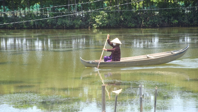 Ngành chức năng Bình Định khuyến cáo người nuôi tôm theo phương thức quảng canh cải tiến cần thu tỉa, thả bù với lượng giống ít hơn lượng giống thả lần đầu. Ảnh: V.Đ.T.