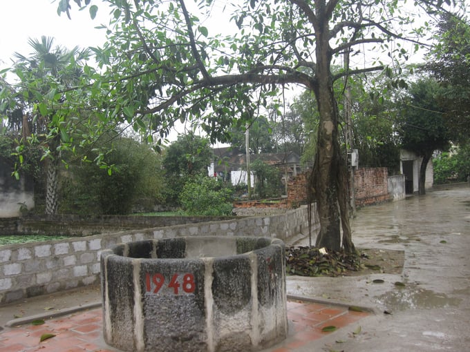 Cây đa và giếng nước cũ ở làng Tuyên Hóa, Đông Sơn, Thanh Hóa.