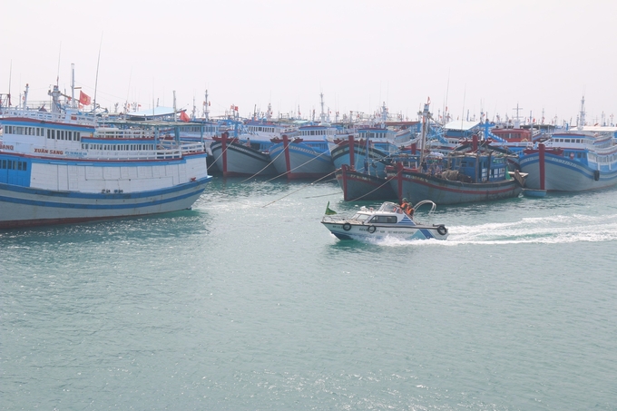 Thời gian qua, nhiều tàu cá ở Bình Thuận khai thác thủy sản gặp nhiều khó khăn do ngư trường, thời tiết không thuận lợi. Ảnh: NT.