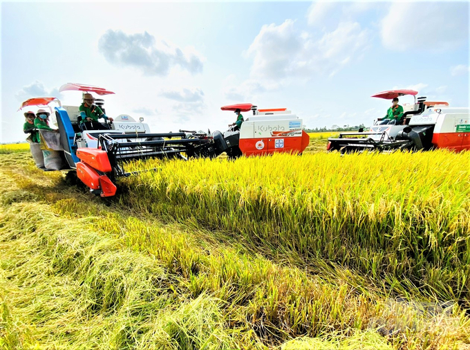 Các thành viên trong hệ sinh thái nông nghiệp Lộc Trời cung ứng dịch vụ cơ giới hóa đồng bộ cho nông dân liên kết canh tác lúa như máy cày, drone sạ giống, phun thuốc, máy gặt, máy cuộn rơm…