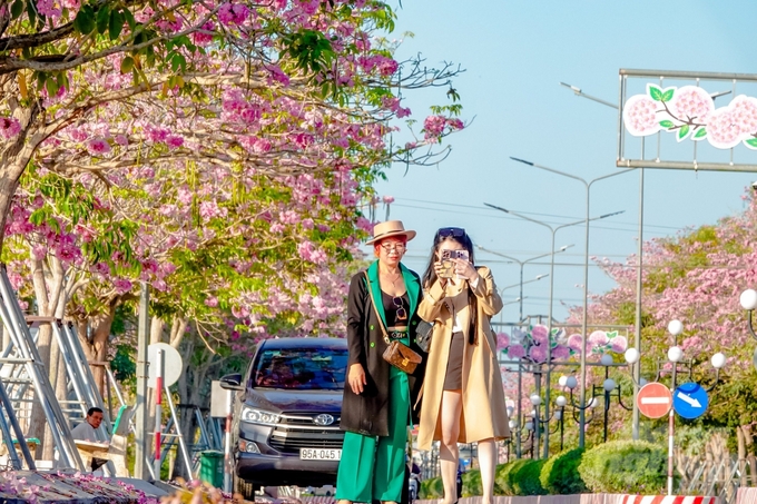 Một Việt kiều Mỹ khi 'check in' tại đường hoa kèn hồng đã ví von nơi đây như một con đường lãng mạn ở Hàn Quốc, đẹp nhất miền Tây.