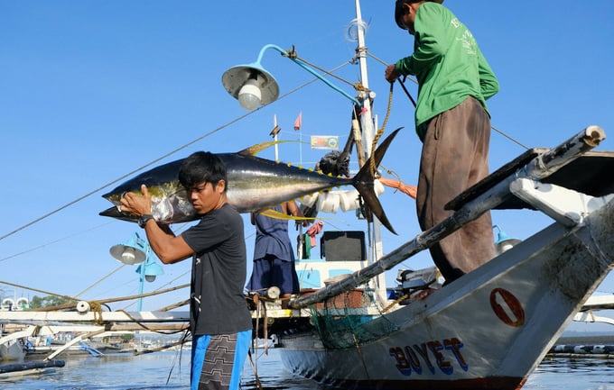 The Philippines has also implemented many measures to prevent and combat IUU fishing. Photo: David David.