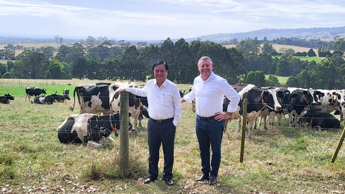 Bộ trưởng Lê Minh Hoan và Bộ trưởng Murray Watt gặp mặt, làm việc tại trang trại nông nghiệp thông minh Elibank ở Victory, Australia. Ảnh: ICD.