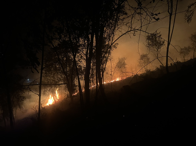 Đám cháy rừng đã được khống chế sau hơn 6 giờ đồng hồ, làm thiệt hại hơn 2,6 ha rừng trồng sản xuất.