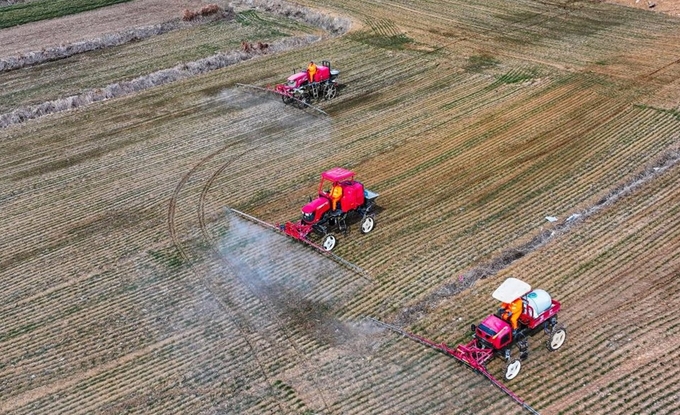 Máy nông nghiệp phun thuốc trừ sâu trên một cánh đồng thuộc huyện Vinh Thành, tỉnh Sơn Đông, phía đông Trung Quốc, hôm 6/3. Ảnh: Xinhua.