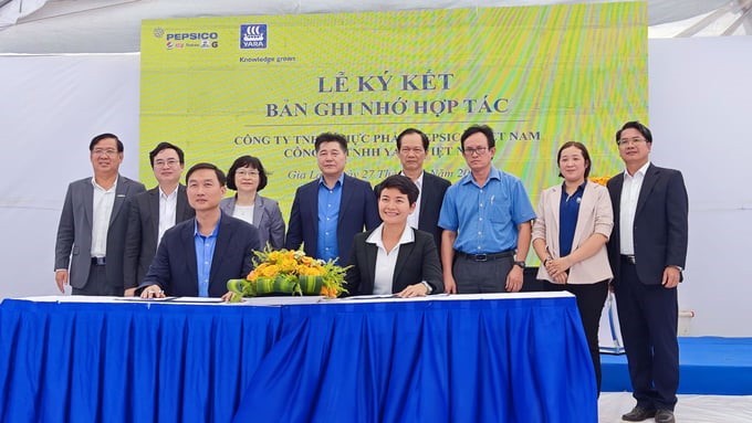 Mr. Nguyen Viet Ha, General Director of PepsiCo Foods Vietnam, and Ms. Tran Ngoc Thanh Truc, General Director of Yara Vietnam, signed a memorandum of understanding at the event. Photo: Yara Vietnam.