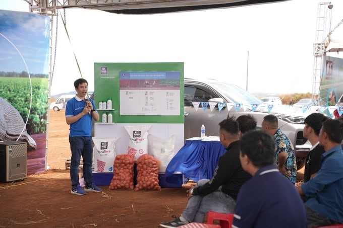 Mr. Vi Van Son, Deputy Director of Agronomy at Yara Vietnam, guides farmers through the nutritional process of potato plant care at the event. Photo: Yara Vietnam.