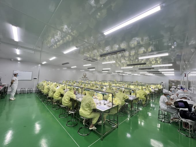 Bird's Nest products are produced in a GMP factory with strict standards from partners. Photo: Duc Chung.