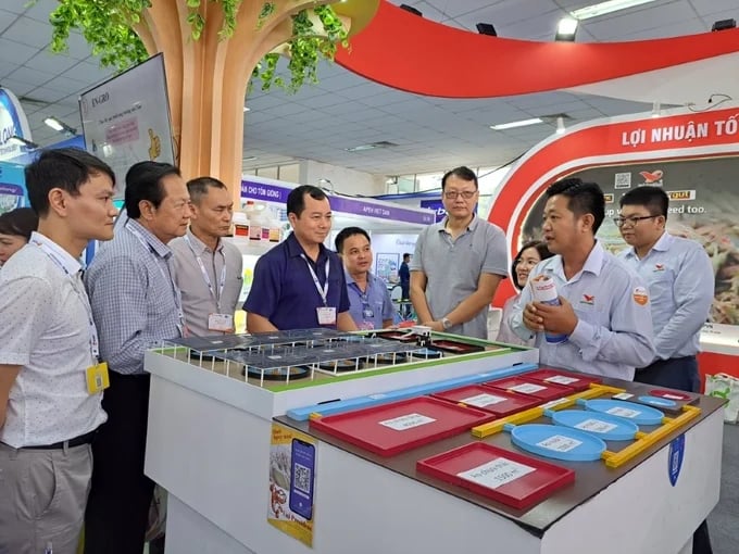VietShrimp 2024 is expected to have about 250 booths of 150 businesses. Photo: HT.
