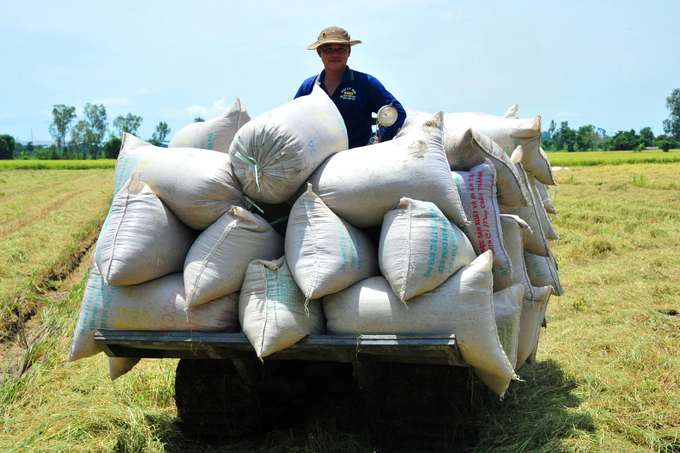 Năm 2023, ngành lúa gạo nước ta đã đạt được kết quả đáng ghi nhận cả về sản xuất và xuất khẩu. Ảnh: Lê Hoàng Vũ.