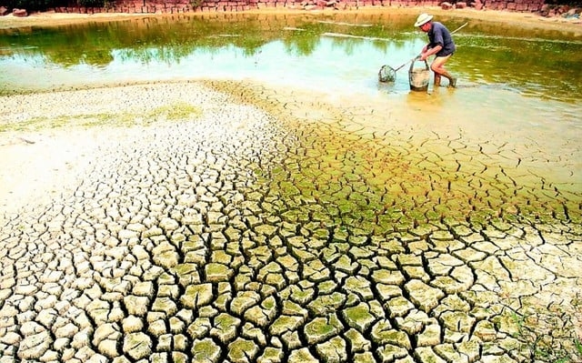 In some localities in the Mekong Delta, drought and saltwater intrusion have occurred, directly affecting production and people's lives. Photo: VGP.