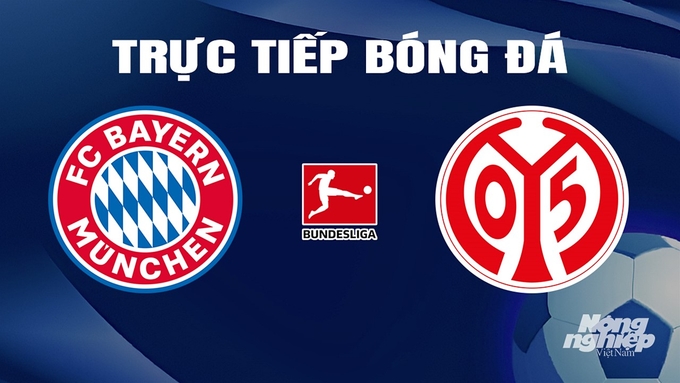 Trực tiếp bóng đá Bundesliga 2023/24 giữa Bayern Munich vs Mainz 05 hôm nay 9/3/2024