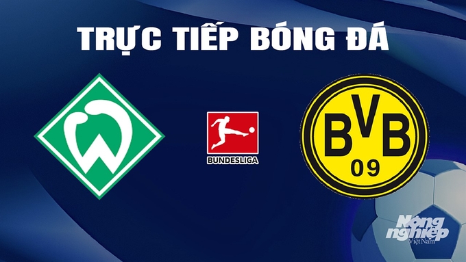 Trực tiếp bóng đá Bundesliga 2023/24 giữa Werder Bremen vs Dortmund ngày 10/3/2024