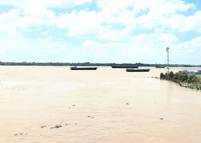 Tại cầu Phú Phong, xã Phú Phong, huyện Châu Thành (cách cửa sông 64km), đến ngày 4/3/2024 độ mặn đo được 0,13 g/l, cao hơn cùng kỳ các năm 2016, 2021, 2023 là 0,13 g/l. Ảnh: Minh Đảm.