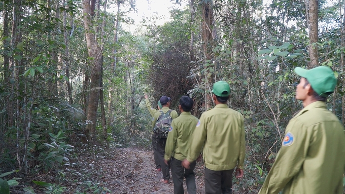 Forest patrol in Konkakinh National Park. Photo: Dang Lam. 