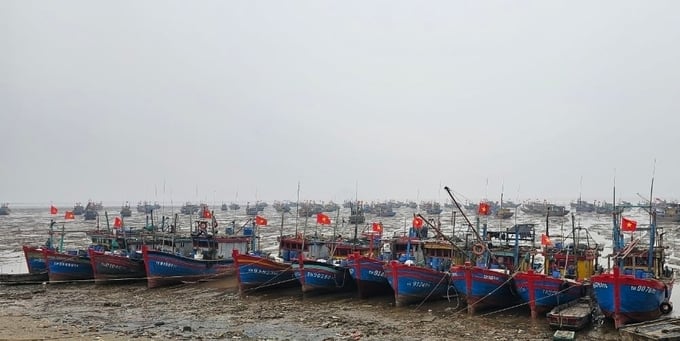 Tàu cá neo đậu tại bờ biển huyện Hậu Lộc. Ảnh: Quốc Toản.