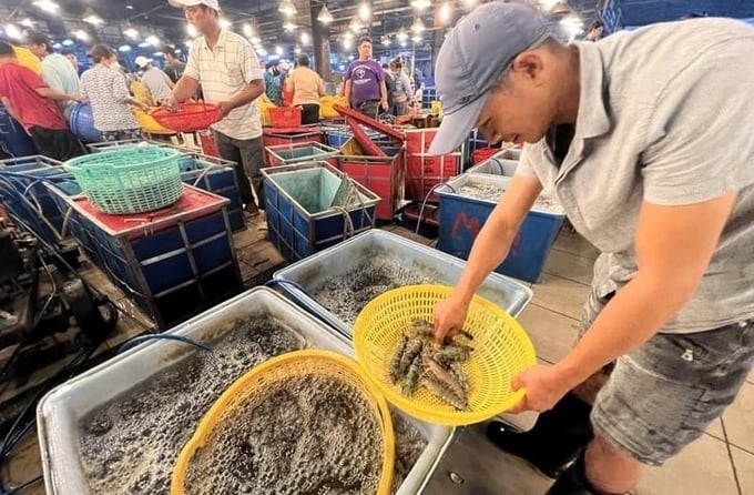 Vietnamese shrimp exports are popular in Japan.