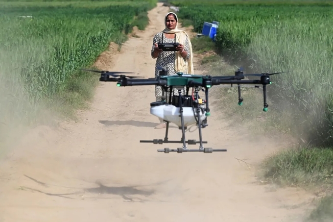 Sharmila Yadav có thể thành thạo điều khiển máy bay không người lái để canh tác sau khi được đào tạo trong chương trình 'Chị em UAV' do chính phủ Ấn Độ tài trợ. Ảnh: AFP.