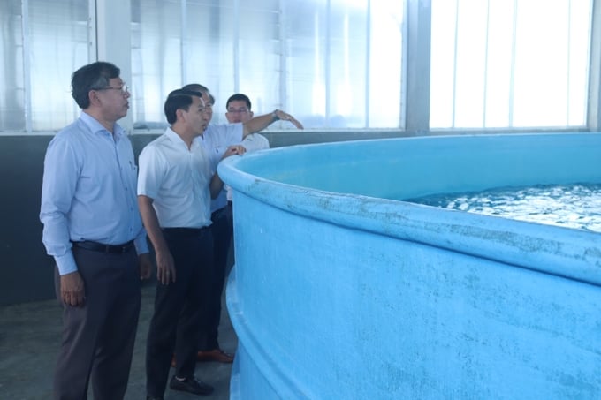 Phó Giám đốc Sở NN-PTNT tỉnh Bình Thuận tham quan cơ sở sản xuất tôm giống của Tập đoàn Nam Miền Trung. Ảnh: Mai Phương.
