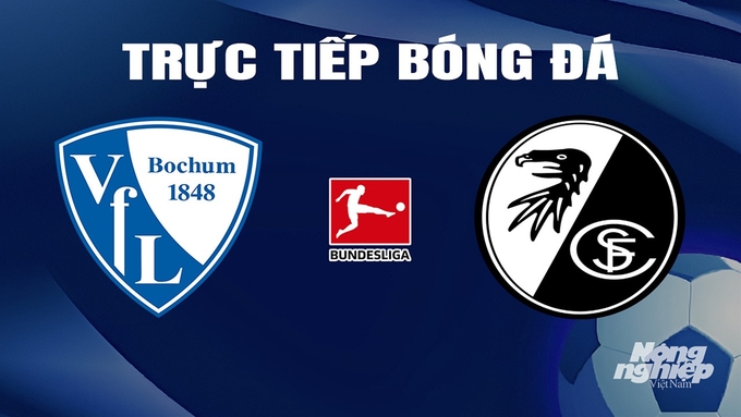 Trực tiếp bóng đá Bundesliga 2023/24 giữa Bochum vs Freiburg hôm nay 10/3/2024