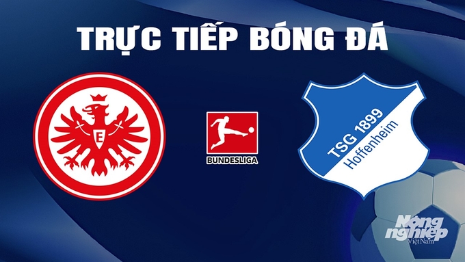 Trực tiếp bóng đá Bundesliga 2023/24 giữa Eintracht Frankfurt vs Hoffenheim hôm nay 10/3/2024