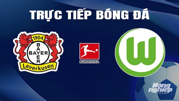 Trực tiếp bóng đá Bundesliga 2023/24 giữa Bayer Leverkusen vs Wolfsburg hôm nay 11/3/2024