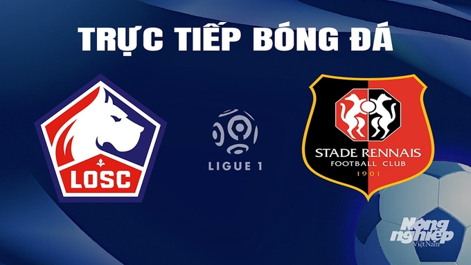 Trực tiếp bóng đá Ligue 1 (VĐQG Pháp) 20210/34 giữa Lille vs Rennes hôm nay 10/3/2024