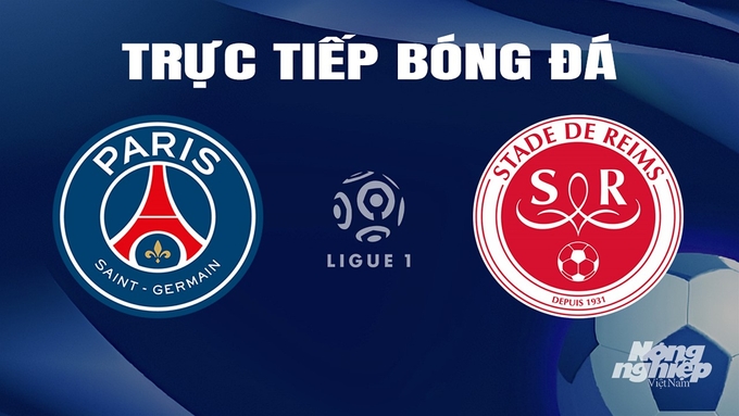 Trực tiếp bóng đá Ligue 1 (VĐQG Pháp) 20210/34 giữa PSG vs Reims hôm nay 10/3/2024