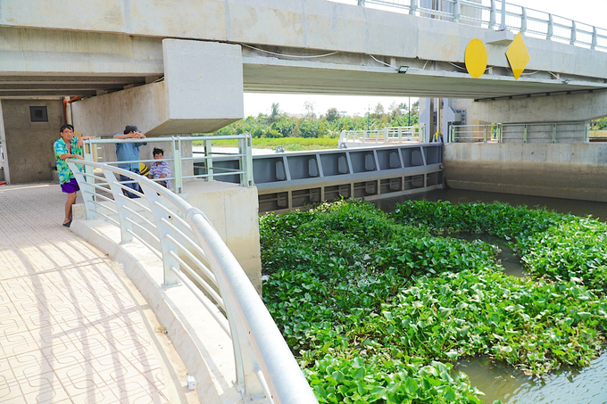 Một số hộ dân trồng sầu riêng tỏ ra lo lắng về sự cố rò rỉ tại cống Bến Rớ. Ảnh: Minh Đảm.