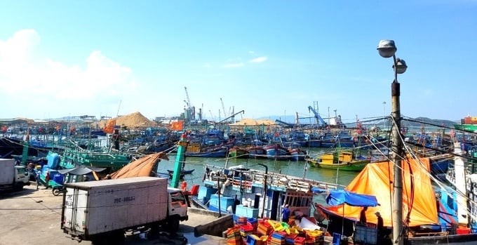 Quy Nhon fishing port has a total output of seafood entering the port estimated at 37,000 tons/year. Photo: V.D.T.