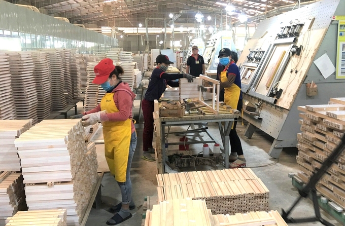 Nhiều doanh nghiệp ngành gỗ ở Bình Định đã định hình, phát triển ngành công nghiệp chế biến đồ gỗ nội thất và lâm sản theo chiều sâu, áp dụng công nghệ tiên tiến. Ảnh: V.Đ.T.