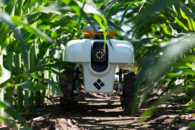 Robot giúp giám sát tình trạng cây trồng tại một trang trại của Mỹ. Ảnh: Institute for Genomic Biology/University of Illinois.