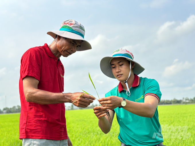 Kỹ sư Công ty TNHH Phú Nông cùng bà con nông dân thăm đồng và hướng dẫn kỹ thuật xử lý sâu hại trên lúa. Ảnh: PN.
