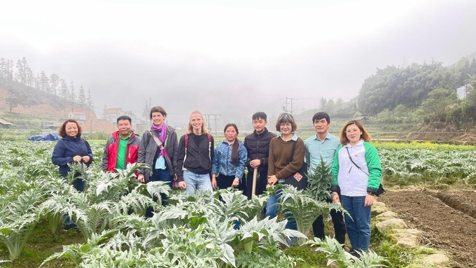 Du khách thích thú thăm, trải nghiệm vùng trồng dược liệu tại Sa Pa. Ảnh: Lưu Hòa.