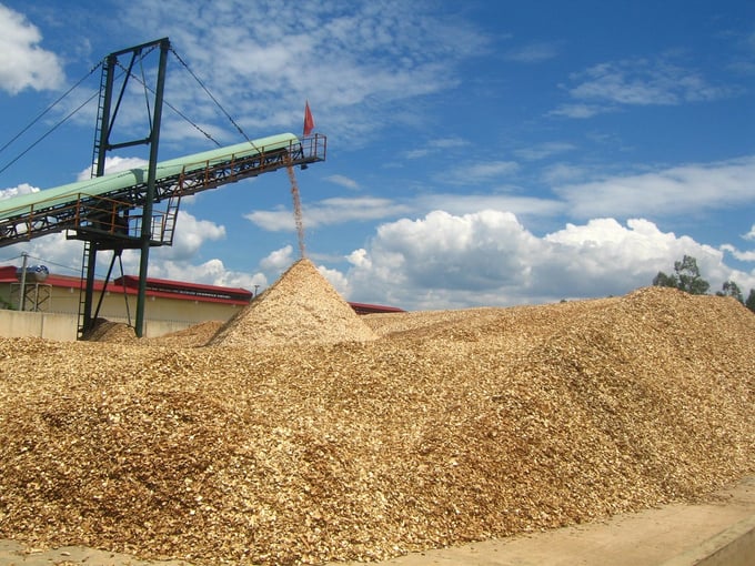 The price of wood chips decreased from 195 USD per ton in 2022 to 135 USD per ton in 2023. Photo: V.D.T.