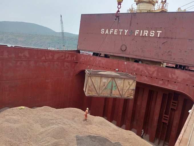 Vessels loading wood chips for export. Photo: V.D.T.
