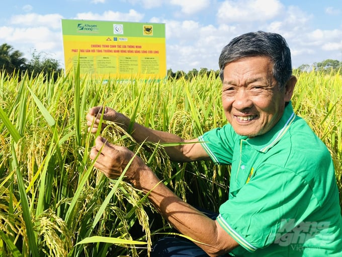 Based on the production result evaluation, the smart rice farming model achieved a yield of 9 tons per hectare, and a profit of over 52 million Vietnamese dong per hectare. On the other hand, the control fields achieved a yield of 8.23 tons per hectare and a profit of over 41 million Vietnamese dong per hectare. Photo: Le Hoang Vu.