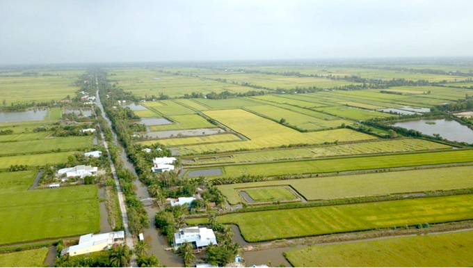 At the present moment, the Mekong Delta has an estimated 29,260 hectares of rice area are susceptible to the detrimental effects of saline intrusion. This region is included in the one in which farming is discouraged after January 15.