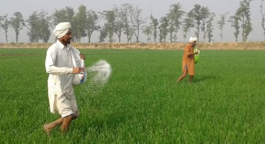 The consumption of conventional urea has gone down in 344 districts of the country, official data show, which has helped paring costly imports.